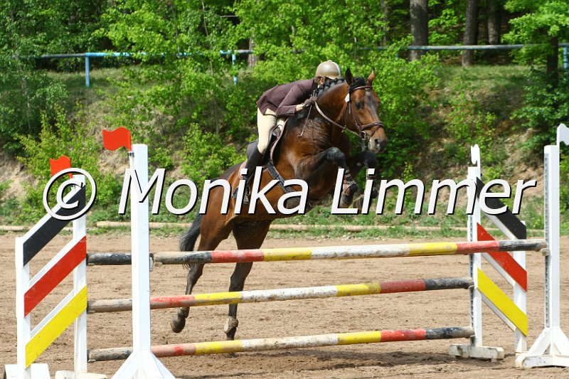 104M3620_Chaccal_Springpf L.JPG